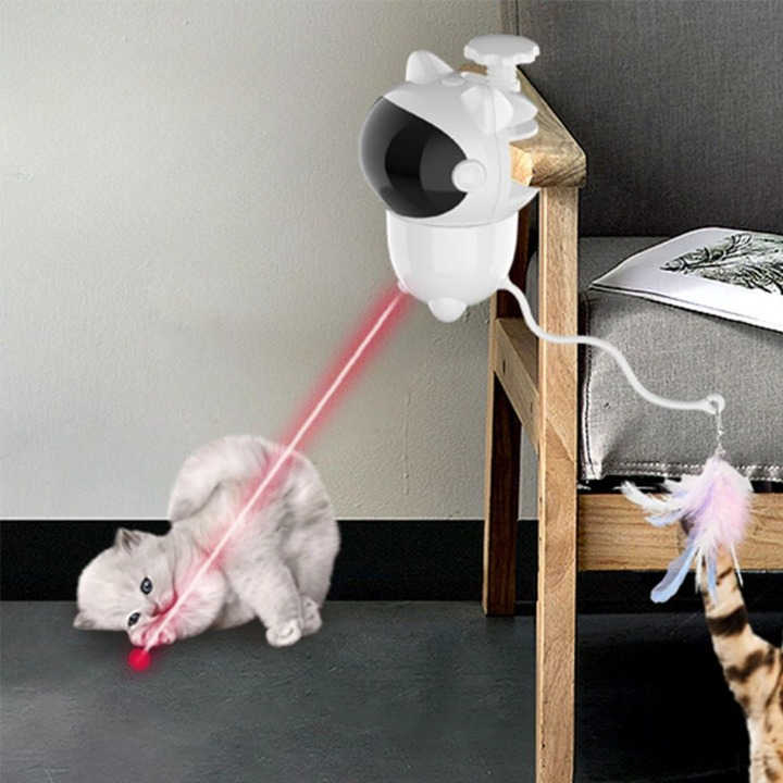 Smart Pet Laser Toy