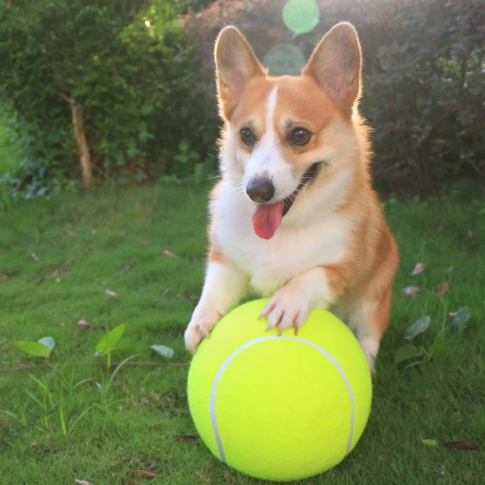 The Big Tennis Ball For Pets