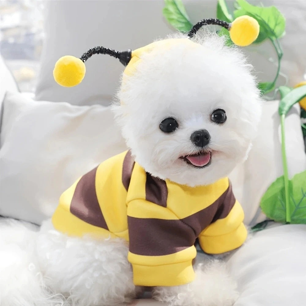 Bee Pet Costume