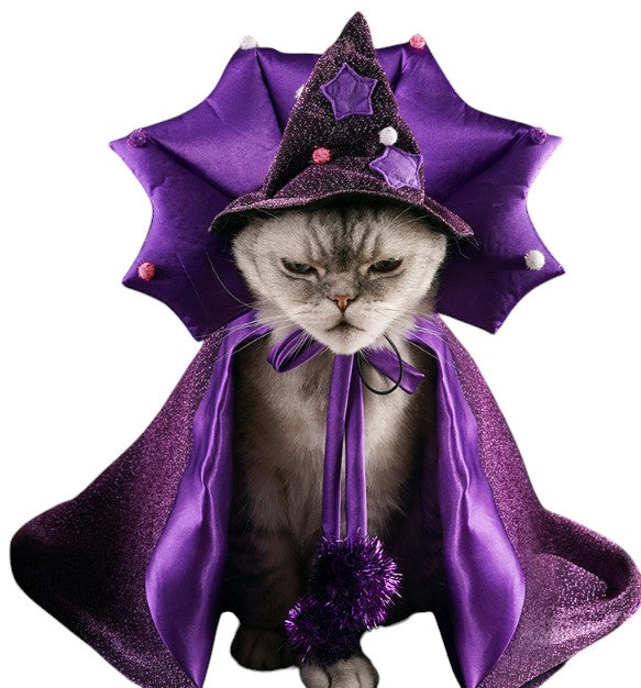 Halloween Witch Hat & Cape for Pets