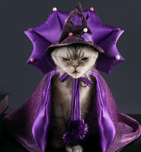 Halloween Witch Hat & Cape for Pets
