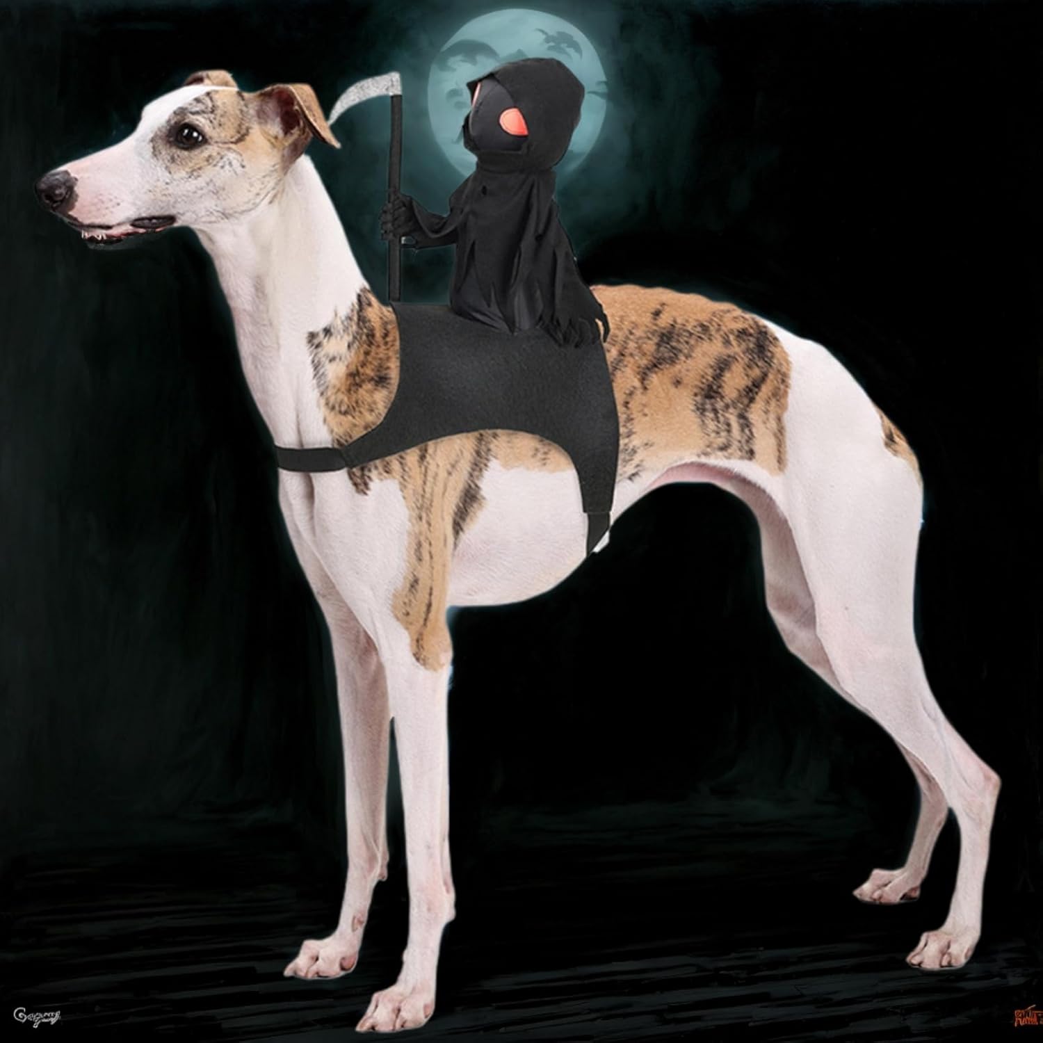 Dark Knight Pet Costume