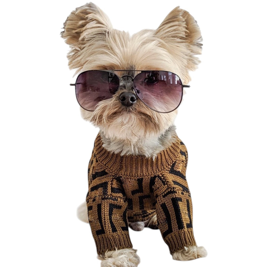 Knit Pet Sweater