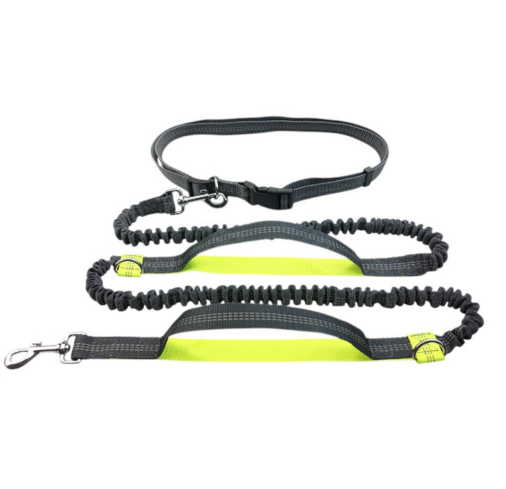Premium Reflective Dog Leash